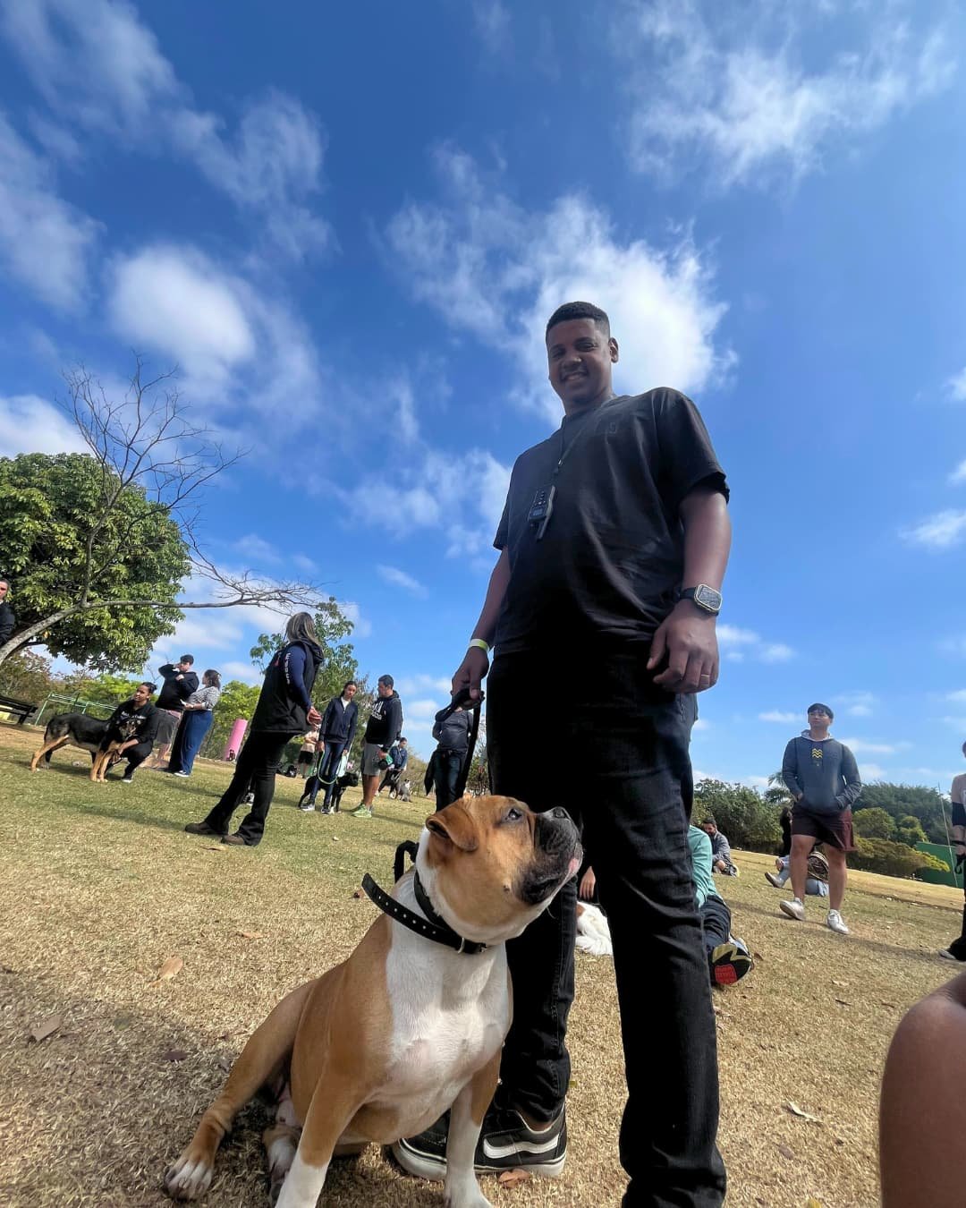 Ricardo Monteiro Adestrador